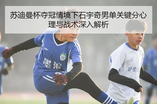 su-di-man-bei-duo-guan-qing-jing-xia-shi-yu-qi-nan-dan-guan-jian-fen-xin-li-yu-zhan-shu-shen-ru-jie-xi-2-117.jpg