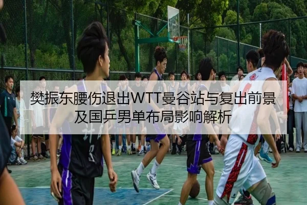 樊振东腰伤退出WTT曼谷站与复出前景及国乒男单布局影响解析